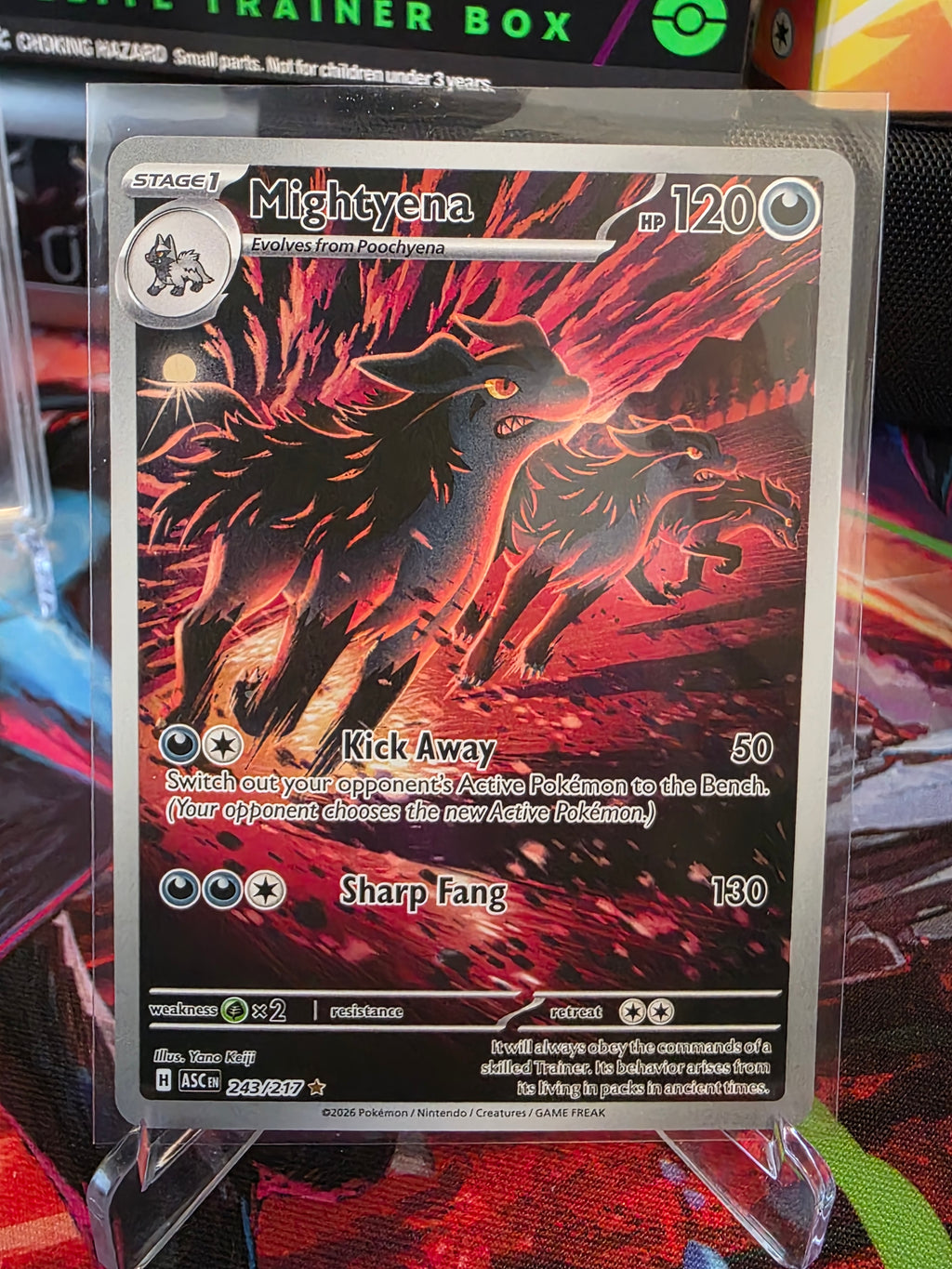 🔥 MIGHTYENA FULL ART – POKÉMON KORT 🔥